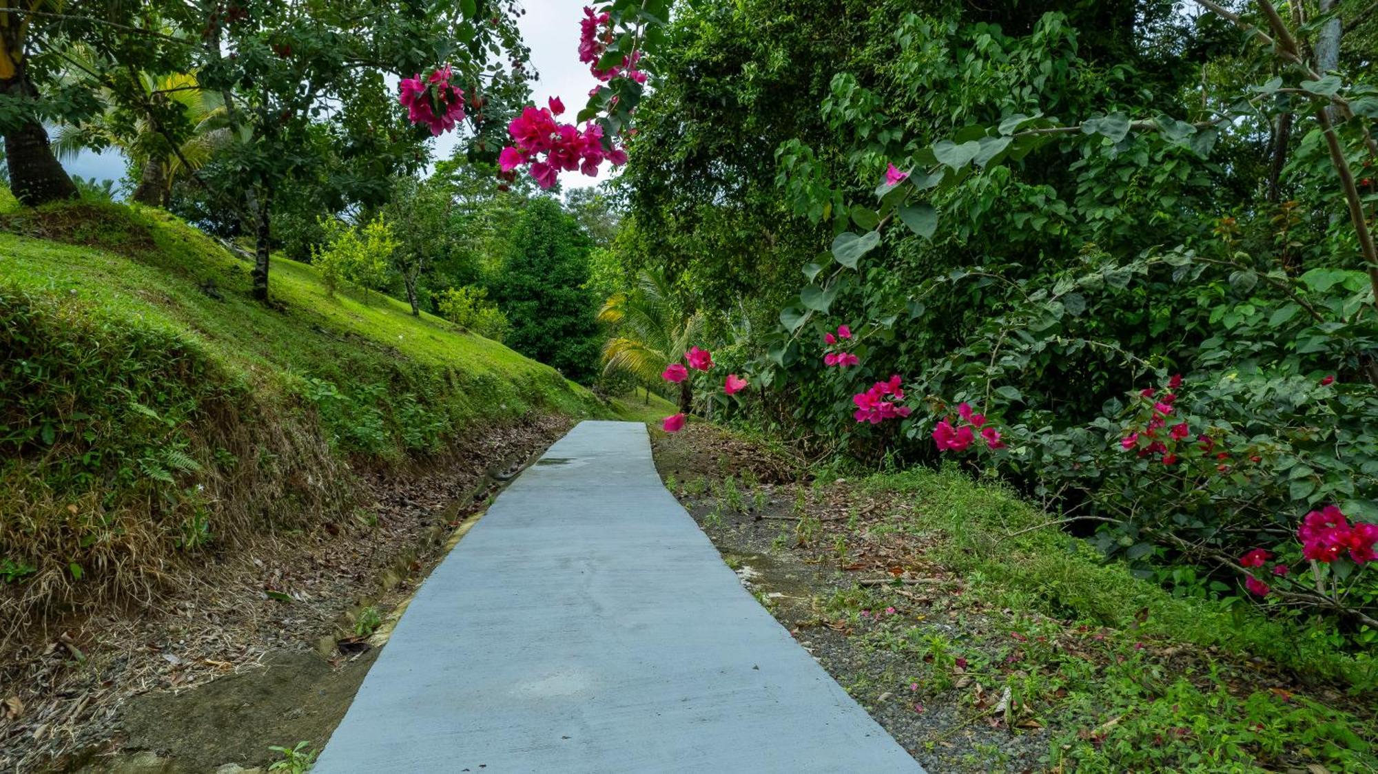 Serenity Rainforest Condos La Fortuna Ngoại thất bức ảnh